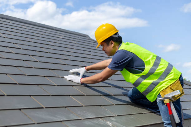 Best Flat Roof Repair Services  in Spicer, MN