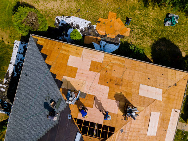 Best Gutter Installation and Roofing  in Spicer, MN